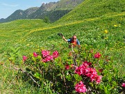 PASSO-LAGO-RIF. BRANCHINO con ANTICIMA sud Corno Branchino (1917 m)-23giu25- FOTOGALLERY